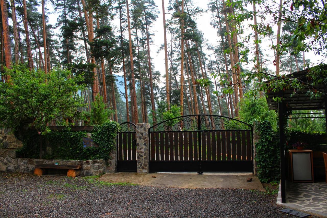 Guest House On Meskheti Borjomi Exterior foto
